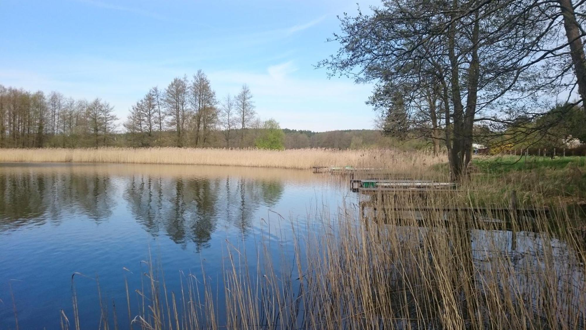 Idyll Im Land Der 1000 Seen Liessow  Eksteriør bilde